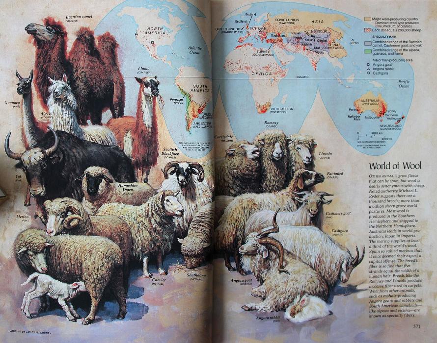 antispeciesism